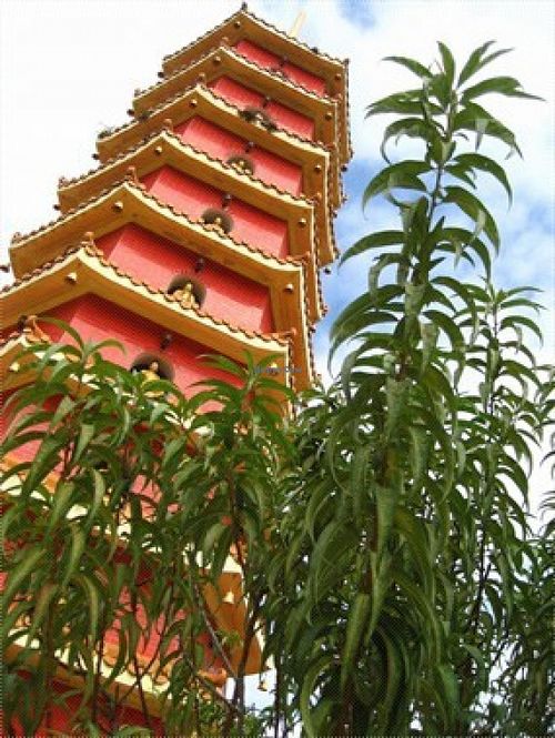 1 at Ten Thousand Buddhas Monastery Vegetarian Canteen in New Territories