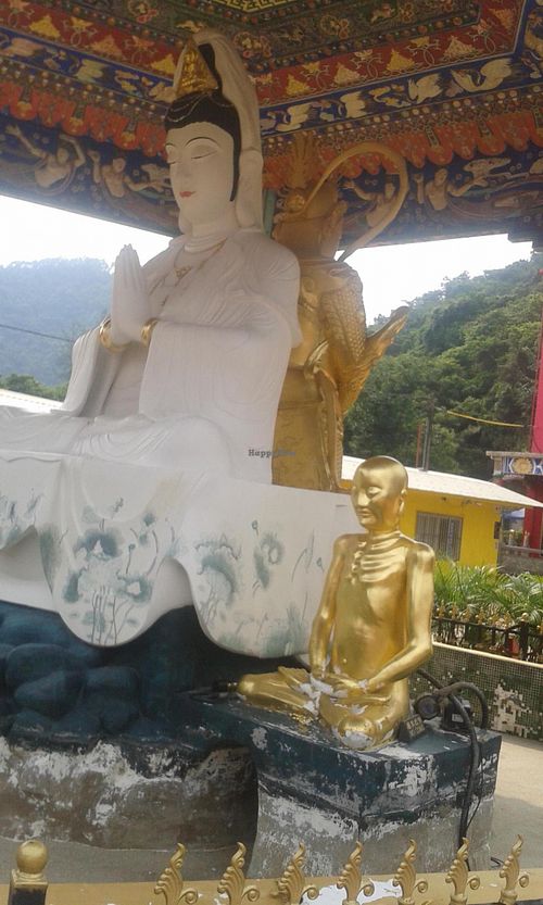 10 at Ten Thousand Buddhas Monastery Vegetarian Canteen in New Territories