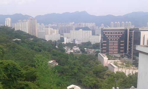11 at Ten Thousand Buddhas Monastery Vegetarian Canteen in New Territories