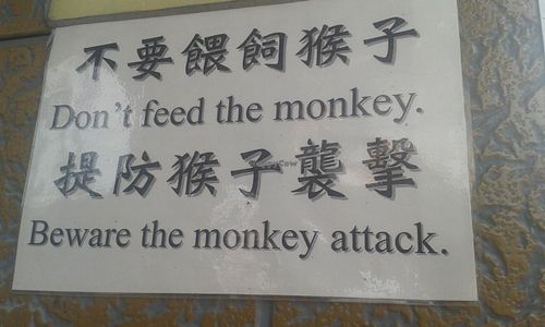 12 at Ten Thousand Buddhas Monastery Vegetarian Canteen in New Territories