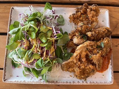 Crispy oyster mushrooms with ajvar sauce, white bean cream and salad.  at Hvar Brewing Co in Hvar