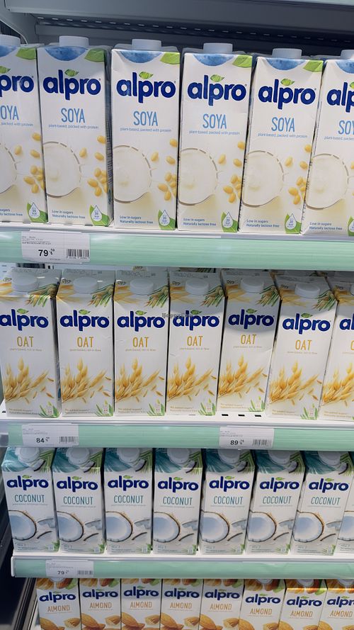   at Boldy Caddebostan in Istanbul