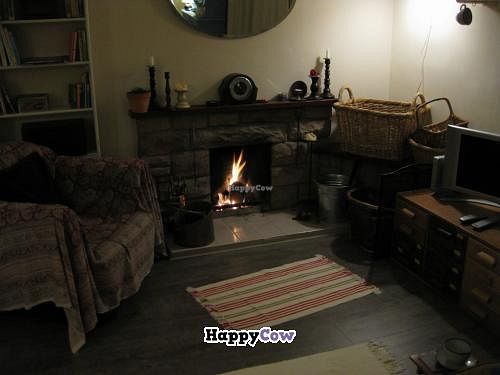 Cosy fire in the guests' lounge. I loved it. at Loaf BnB in Berwick-upon-tweed