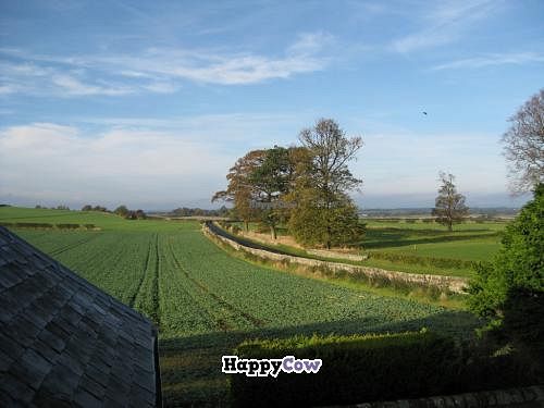 Beautiful view from the en-suite bedroom. at Loaf BnB in Berwick-upon-tweed