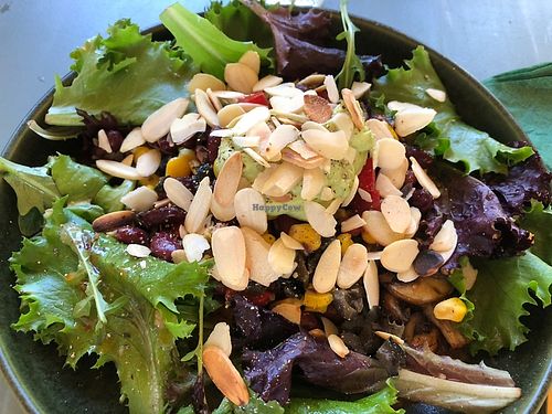 Sautéed mushrooms, sweet potato purée, beans and salad   at Dona Sardinha in Luso