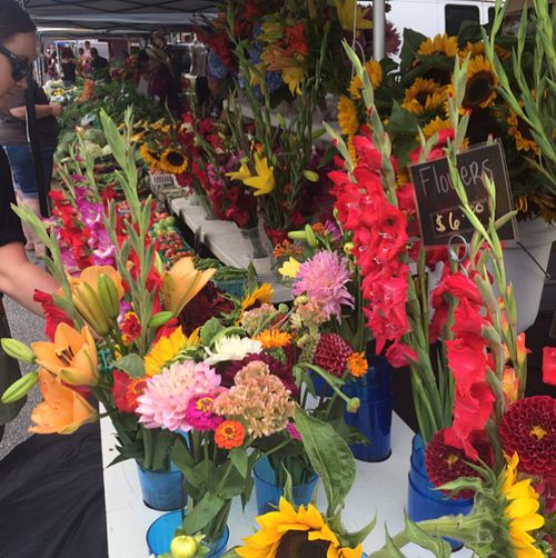 Farmer's Market Flowers! at Farmers Market in Fayetteville