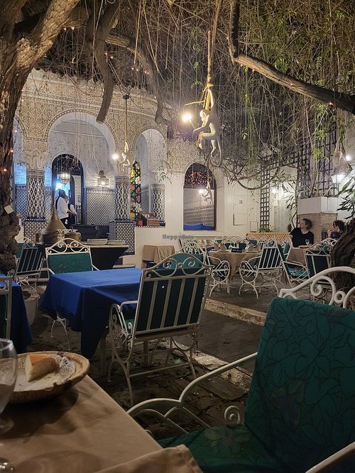 small garden at Al Mounia in Casablanca