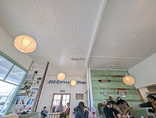 Inside at Little Curious Bagels in Whanganui