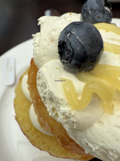 lemon drizzle vegan  at Caffe Concerto in Birmingham