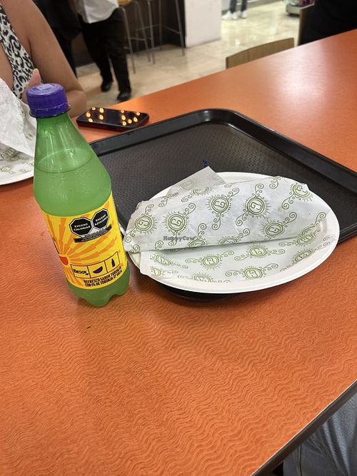 Big burrito   at Guacamole Grill - T2 in Cancun