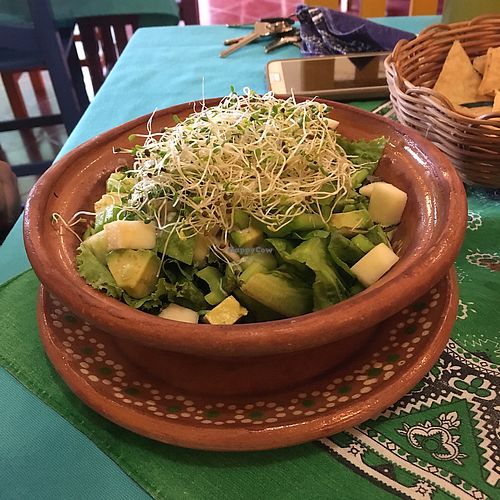 Ensalada verde at Yerbabuena del Sisal in Valladolid