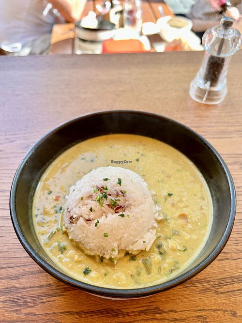 Lentil dahl with rice   at Munich Soup Kitchen in Munich