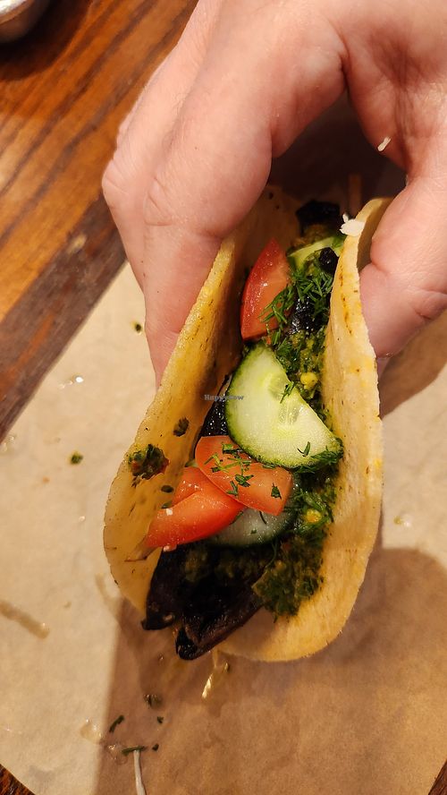 Mediterranean Mushroom at Velvet Taco in Grapevine