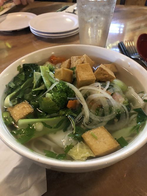 Vegan pho 🥰  at Pho Saigon in Daytona Beach