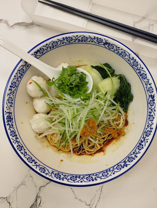 Fishballs Ramen S$6.5 at Happy Veg Cafe 乐蔬坊 in Central Singapore