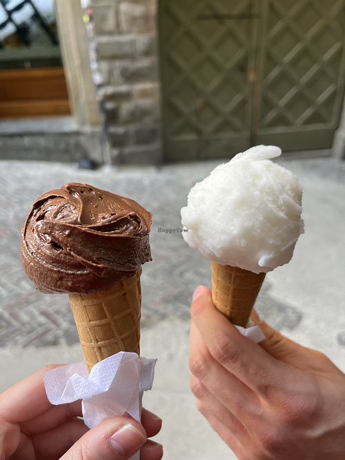 fondente & limone  at Gelateria Domus in Bergamo