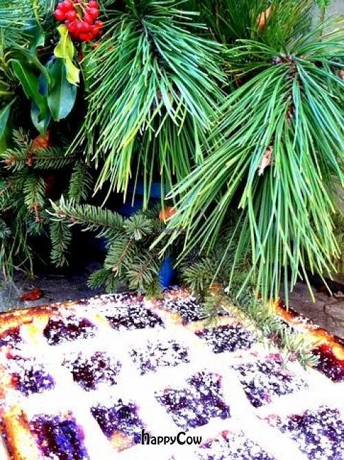 The Vienna's Raspberry Linzertorte is amazing!  Worth it from a short or long drive - any drive at Vienna Restaurant and Historic Inn in Southbridge