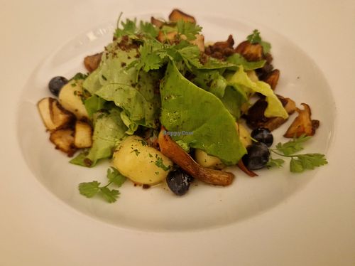 Gnocchi mit Steinpilzen, Fenchel-Velouté, Heidelbeeren, Kopfsalat und Steinpilz-Crumble at Restaurant Nil in Hamburg