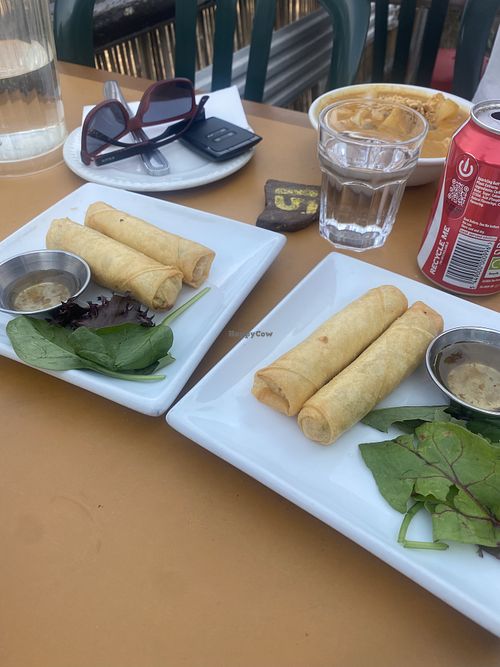 Veggie spring rolls  at Bonne Nuit Beach Cafe in Jersey