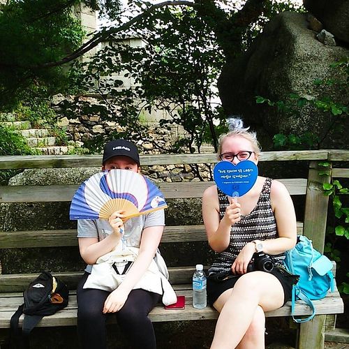 Seoul City Wall tour for Sleeping Strawberry's guests and friends at Sleeping Strawberry Guesthouse in Seoul