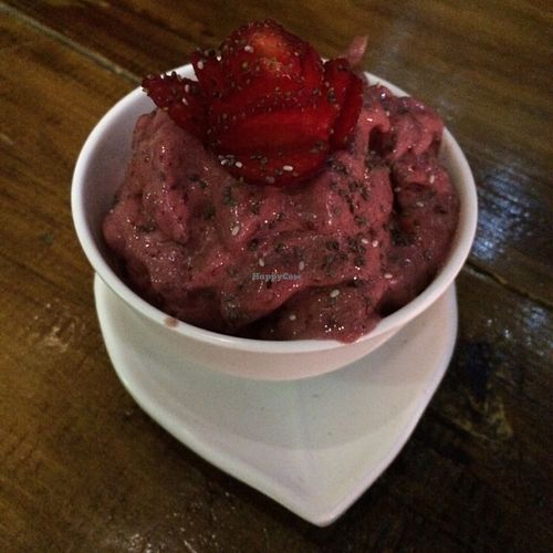 Delicious nice cream with 'red fruit' at La Senda Restaurante in Playa Del Carmen