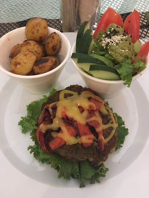 Lentil burger with vegan cheese, potatoes and salad  at La Senda Restaurante in Playa Del Carmen