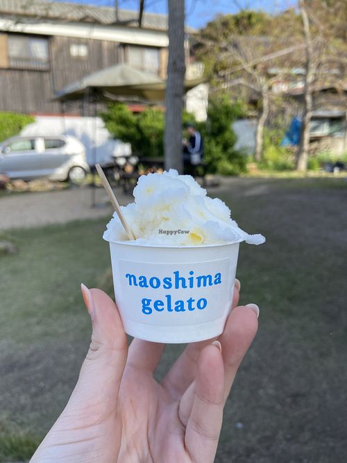 Lemon sorbett  at Naoshima Gelato - 直島ジェラート in Kagawa