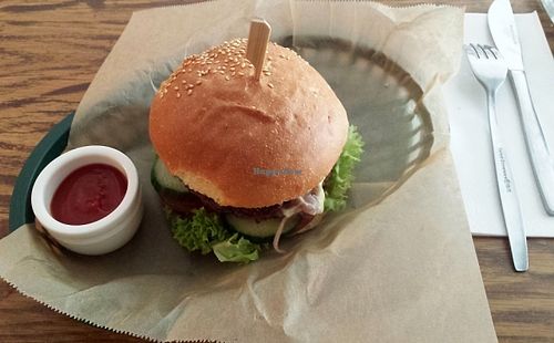 Quinoa & Bean Burger with ketchup - excellent combination, amazing texture at DopHert in Amsterdam