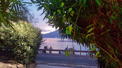 View from our table  at Osteria da Ago Rita in Torri Del Benaco