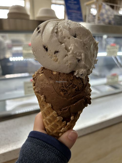 Top scoop is cookie dough and below is something that tasted like chocolate rocky road but I don’t remember the name.  at Honey Bear Ice Cream in Harrisburg