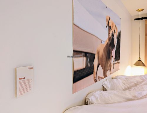  at Best Friends Roadhouse and Mercantile in Kanab