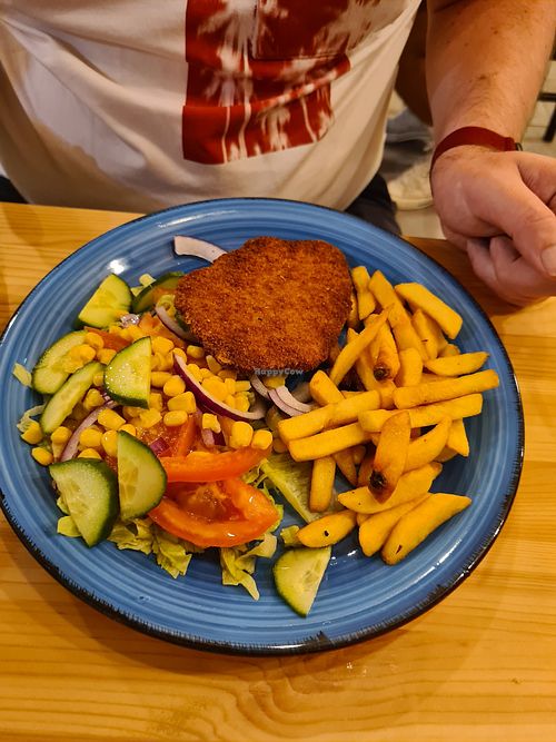 The "Loin" w/o sauce and a loveless salad at Green Planet Dinner   in Gran Canaria