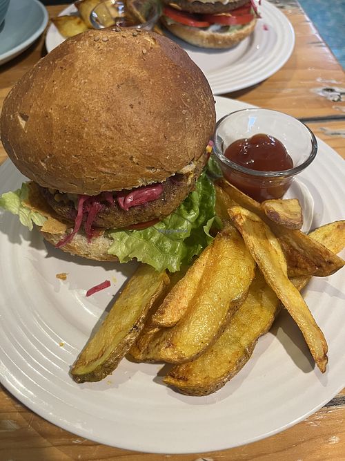 Burger w fries  at Astro Café Bistro in San Cristobal De Las Casas