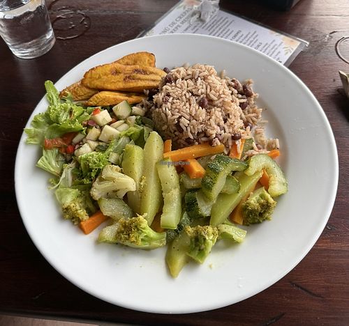 Those vegetables didn‘t receive much love  at Tree Coffee House  in Tortuguero
