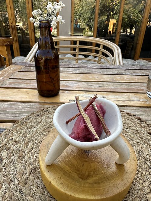Rhubarb sorbet  at Tsas by Dolkhar in Leh