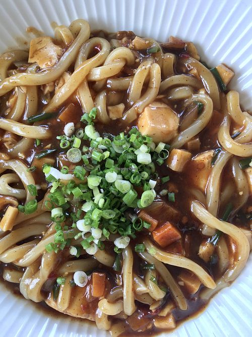Vegan mapo tofu udon noodles: generous portion with lots of mushrooms and silken tofu  at Soombida - 숨비다 in Jeju