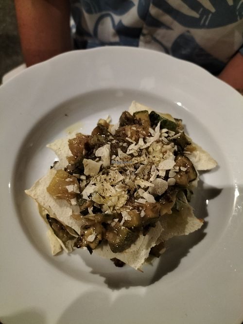 Lasagna carasau with courgettes and herbs at Passo Carraio in Ravenna