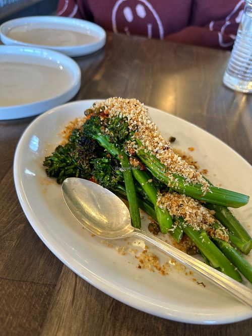   at Fringe A Well-Tapped Eatery in Boulder