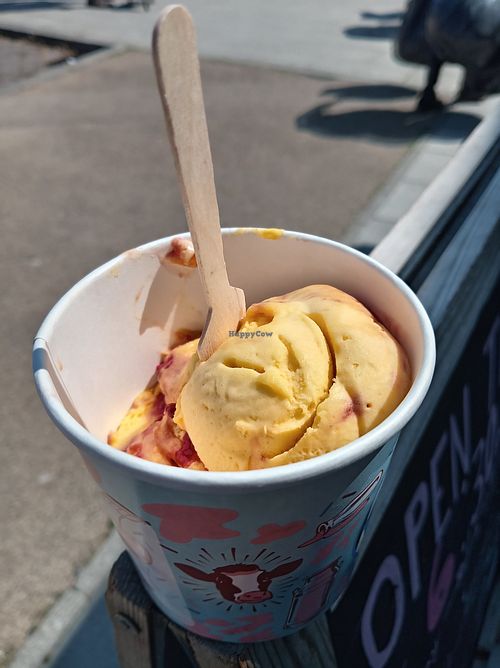 Mango and strawberry sorbet at Caffe Ginevra in Blyth