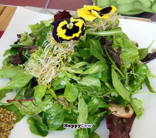 Spring salad at RohKostlich BistRoh in Speyer
