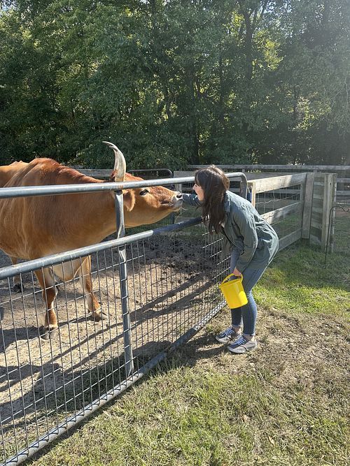   at Freedom Farm Animal Rescue in Lawrence Township