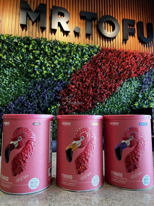 Todo 100% Vegano at Mr. Tofu in Veracruz