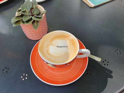 Cappuccino mit Hafermilch at Leas Röstlaube in Celle