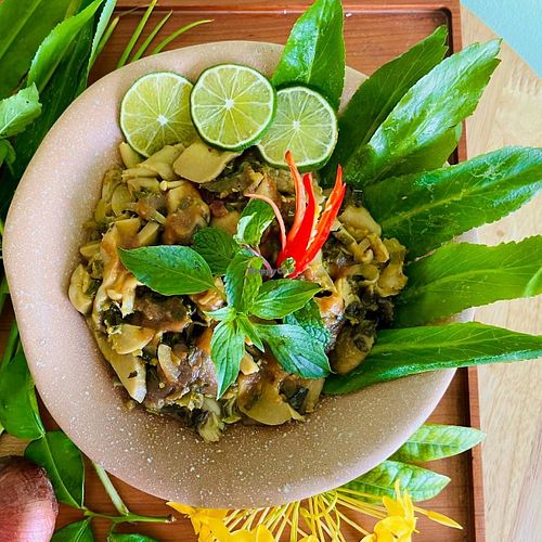 Mushroom Sensation:
Mixed steamed mushrooms with herbs in a tamarind sauce. Served with white or red rice. at Mettā Guesthouse Kampot in Kampot