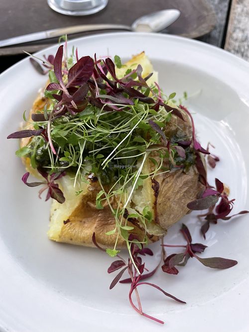 Jacket potato with vegan cashew pesto  at The Granary  in Hay-on-wye