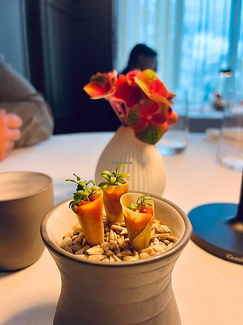  at Maihöfli in Luzern