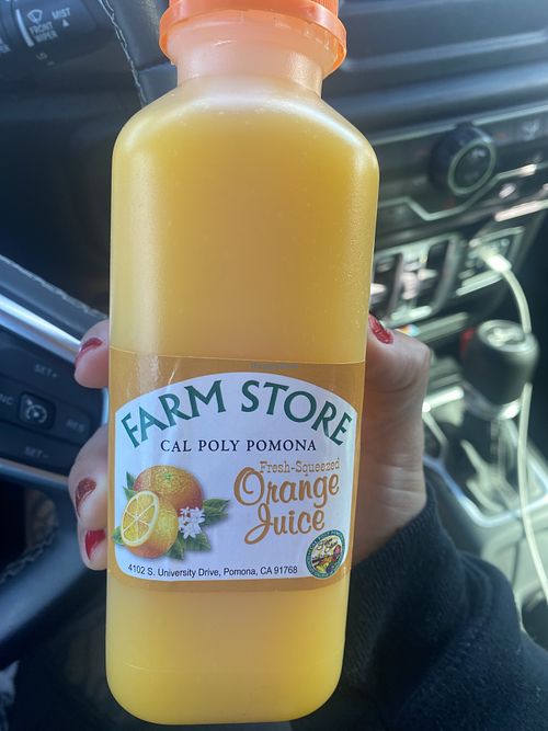 Fresh Squeezed OJ (A Must); Wish They Used Glass   at Cal Poly Pomona Farm Store at Kellogg Ranch in Pomona