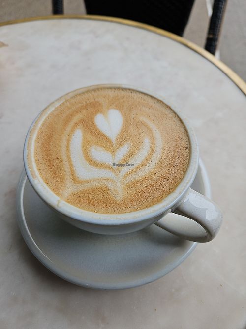 Oatmilk latte at PlantShed in New York City