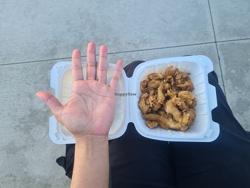 Biggest waste of $18. I ordered a vegan chicken plate and they made me wait forever ....only for this?? And for those who dont know, regular flavor means none at all. 0/10 👎🏼 at Teif's Pacific Island Grill in San Diego