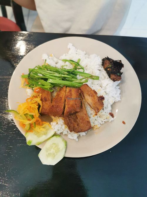 Rice with vegan chicken at Quán Chày Mộc - Maybe closed in Phan Thiet